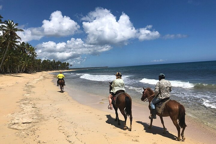 Horseback riding along the pristine El Limon Beach, immersing yourself in the beauty of the Dominican Republic.